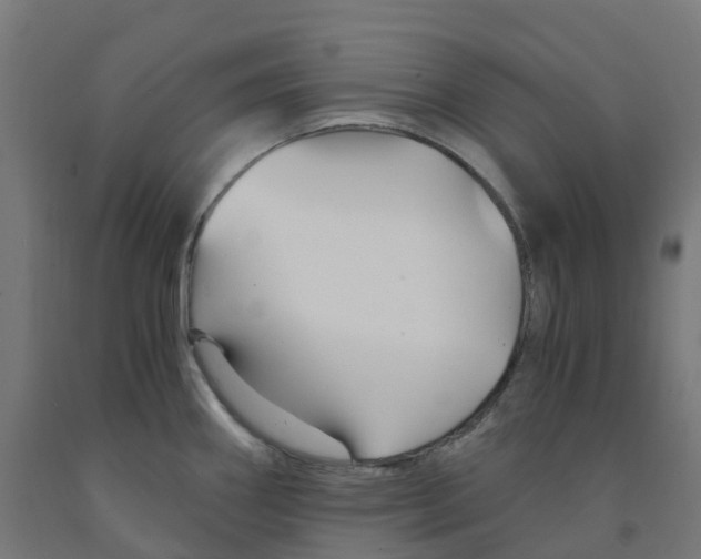 X0000091901290200710031815