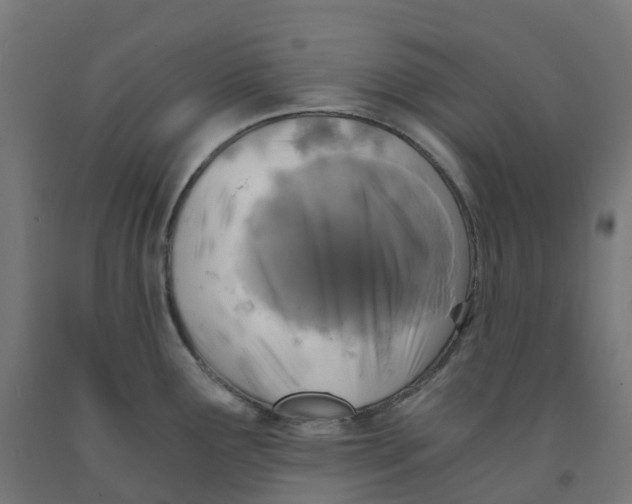 X0000091901291200710031815