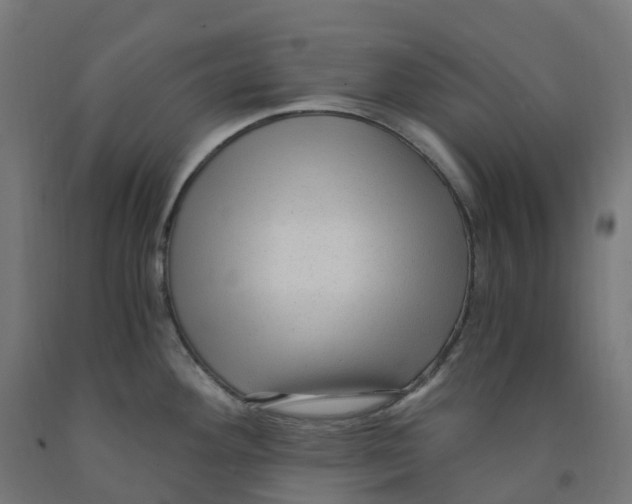 X0000091901292200710031815