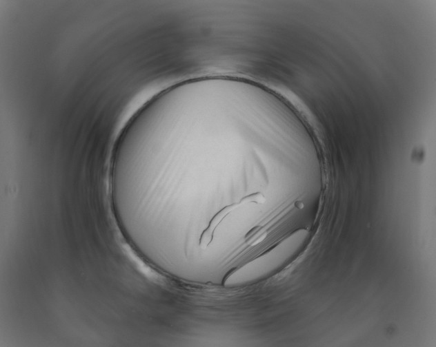 X0000091901294200710031815