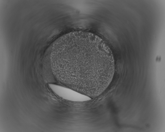 X0000091901297200710031814