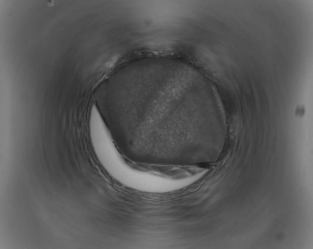 X0000091901298200710031814