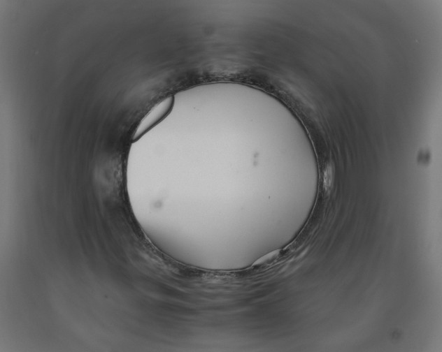 X0000091901299200710031814