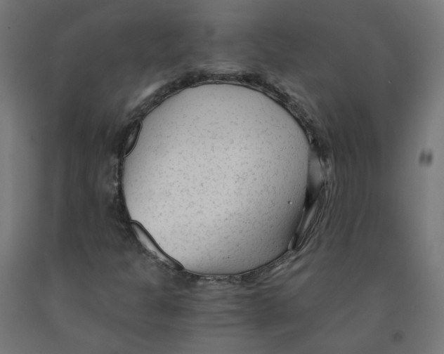 X0000091901301200710031814