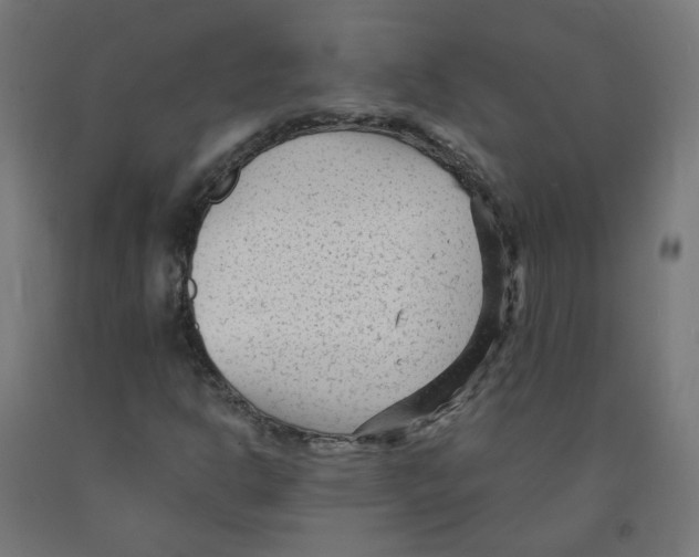 X0000091901302200710031814