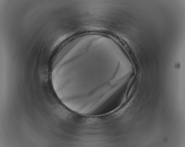 X0000091901306200710031814