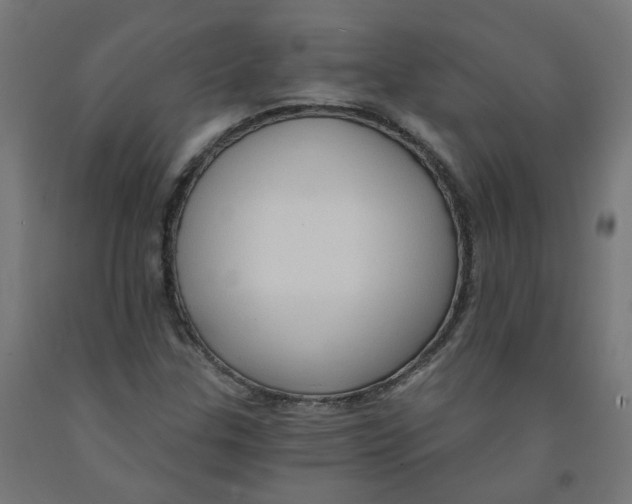 X0000091901307200710031814