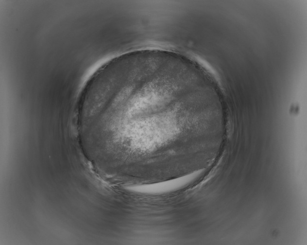 X0000091901310200710031814