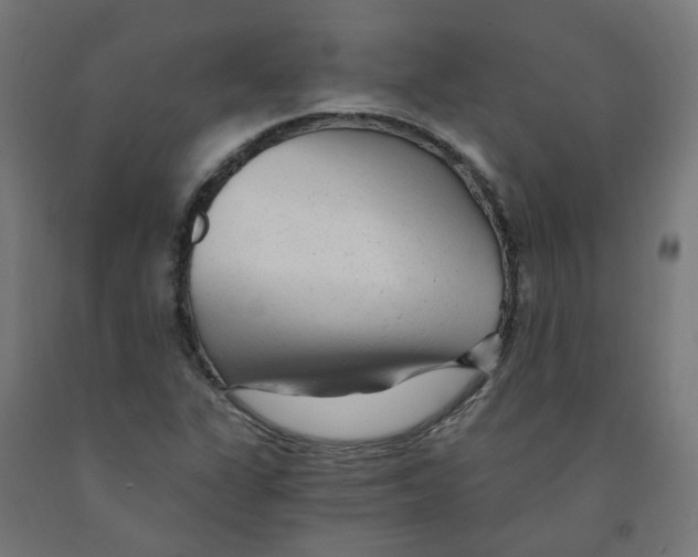 X0000091901311200710031814