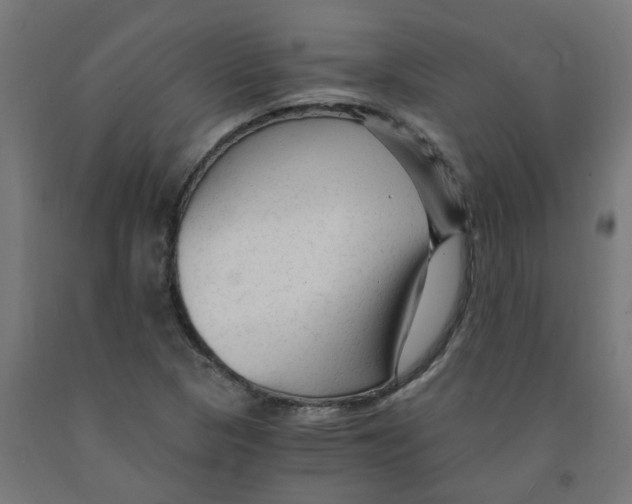 X0000091901313200710031814