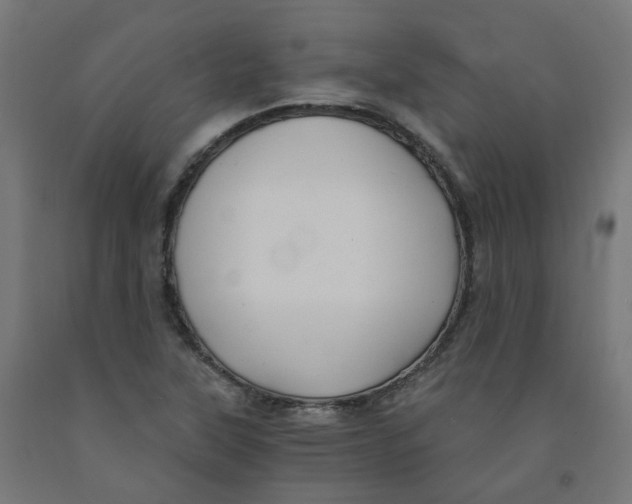 X0000091901315200710031814