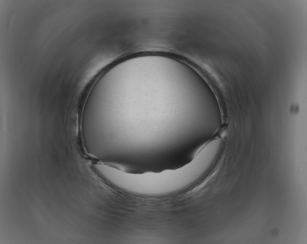 X0000091901317200710031814