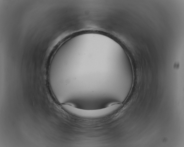 X0000091901318200710031814