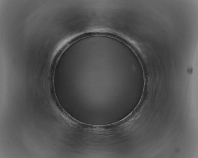 X0000091901319200710031814