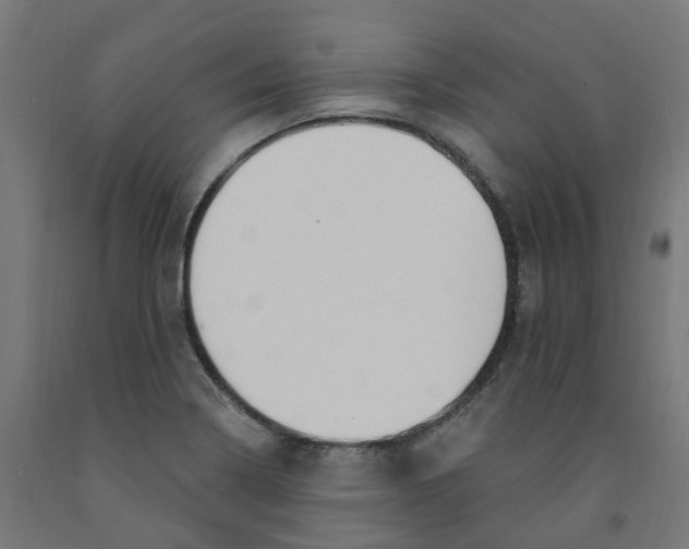 X0000091901322200710031815