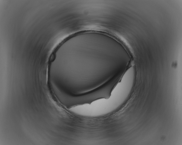 X0000091901323200710031815