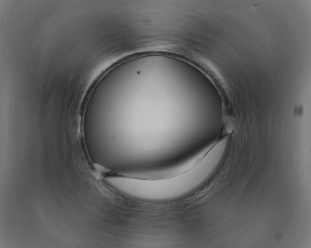 X0000091901324200710031815