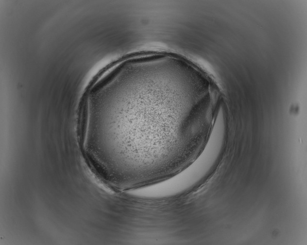 X0000091901326200710031815