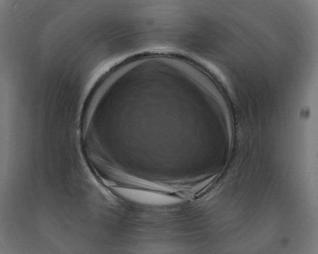 X0000091901327200710031815