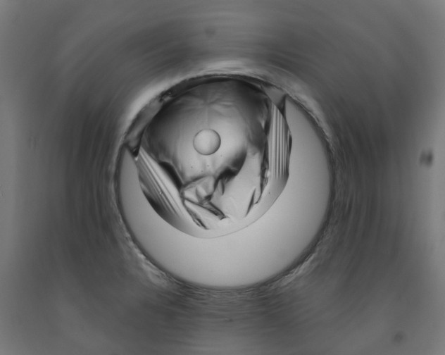 X0000091901328200710031815