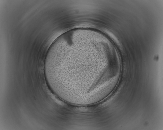 X0000091901329200710031815