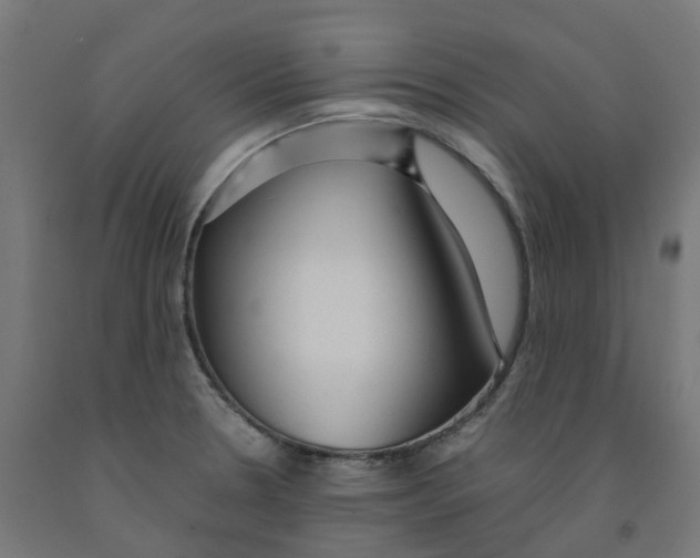 X0000091901330200710031815