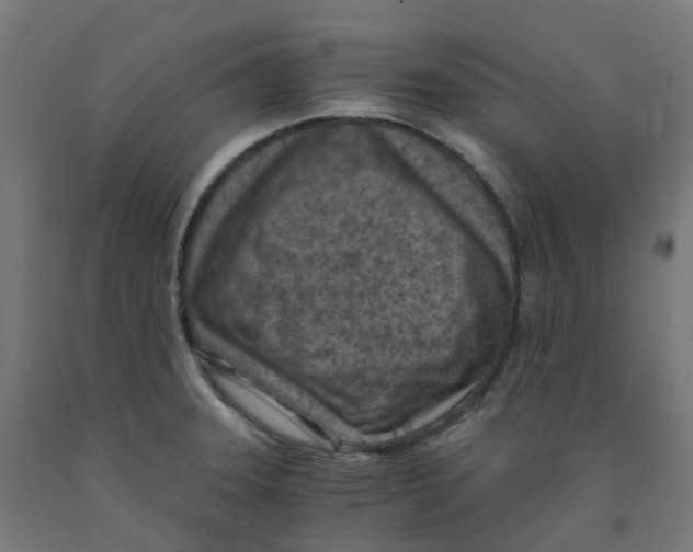 X0000091901331200710031815