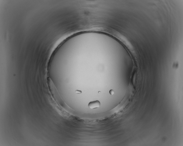 X0000091901332200710031815