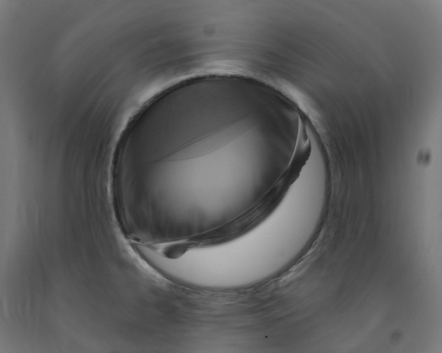 X0000091901334200710031815