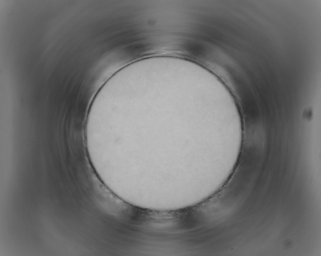 X0000091901338200710031815