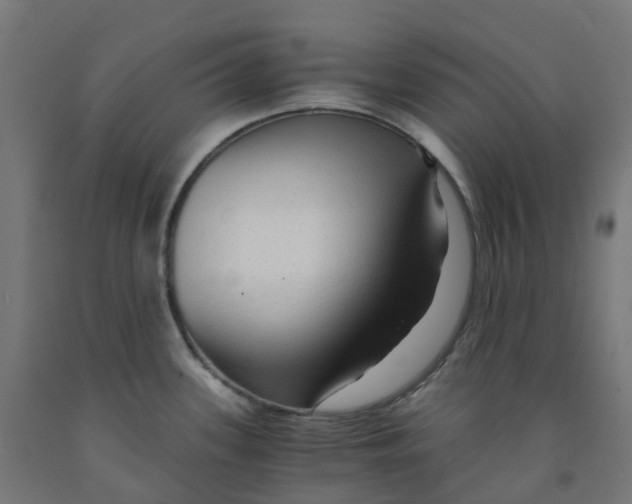 X0000091901339200710031815