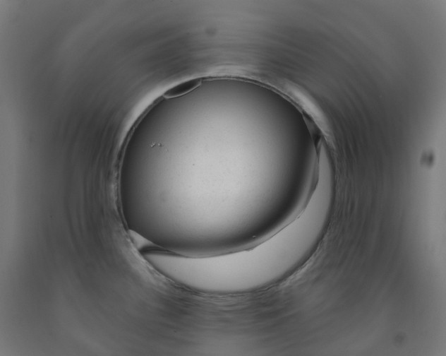 X0000091901340200710031815