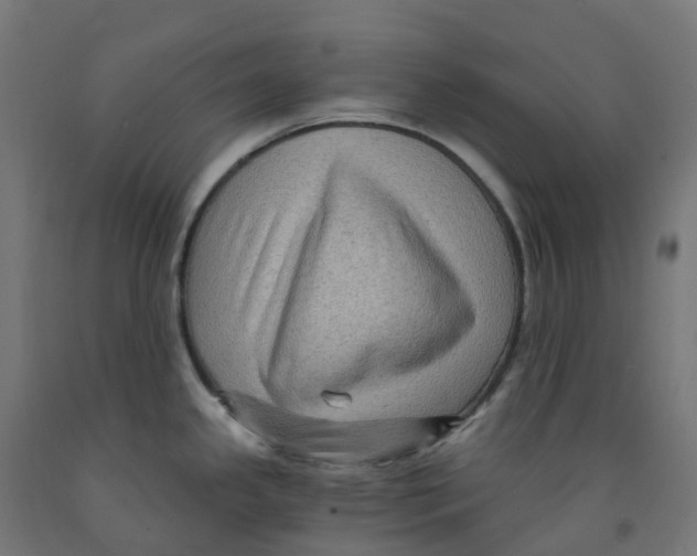 X0000091901341200710031815