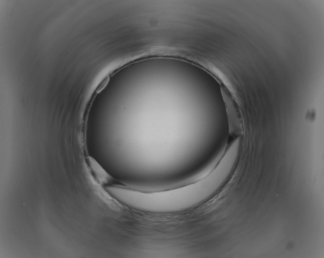 X0000091901342200710031815