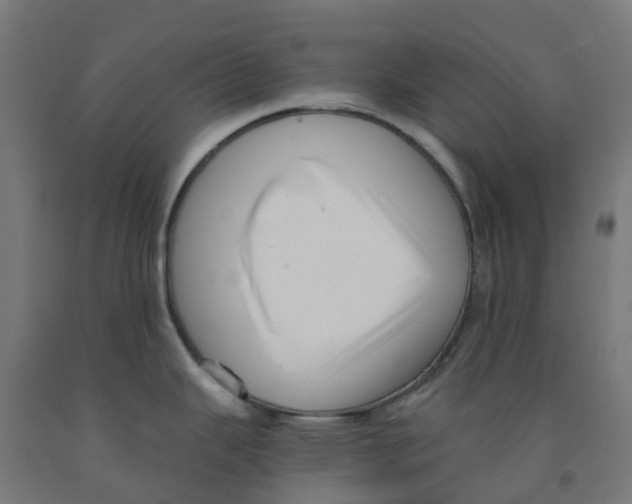 X0000091901343200710031815