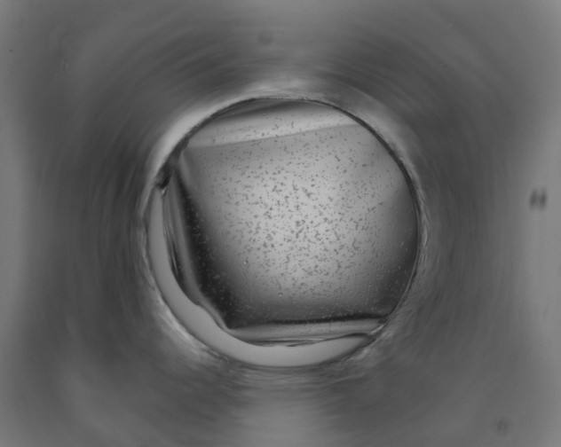 X0000091901344200710031815