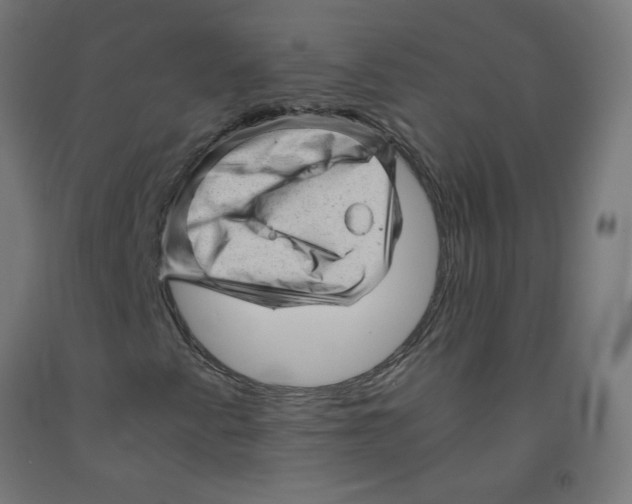 X0000091901345200710031814