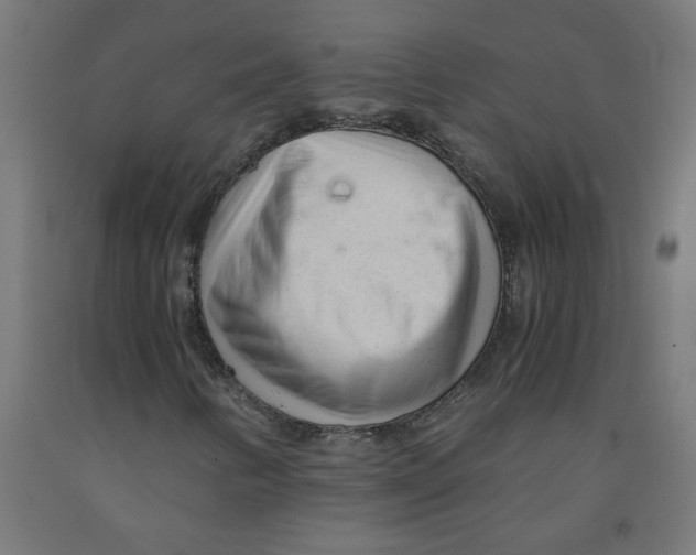 X0000091901346200710031814