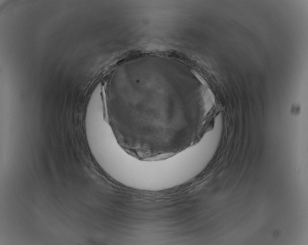 X0000091901348200710031814