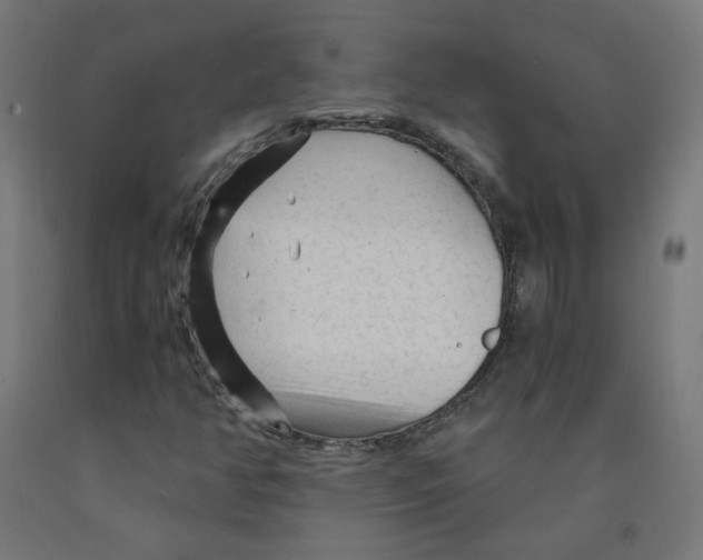 X0000091901350200710031814