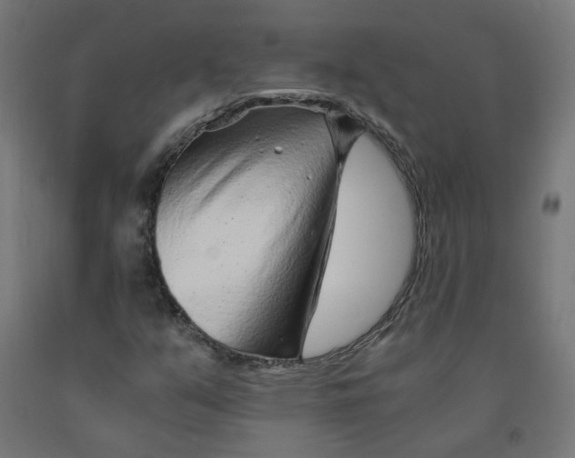 X0000091901351200710031814