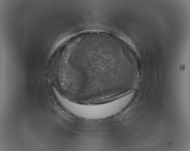 X0000091901352200710031814