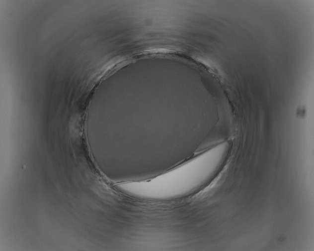 X0000091901353200710031814