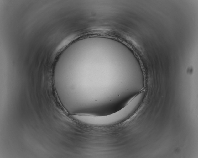 X0000091901354200710031814