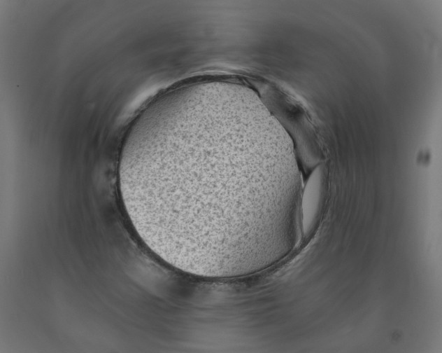 X0000091901355200710031814