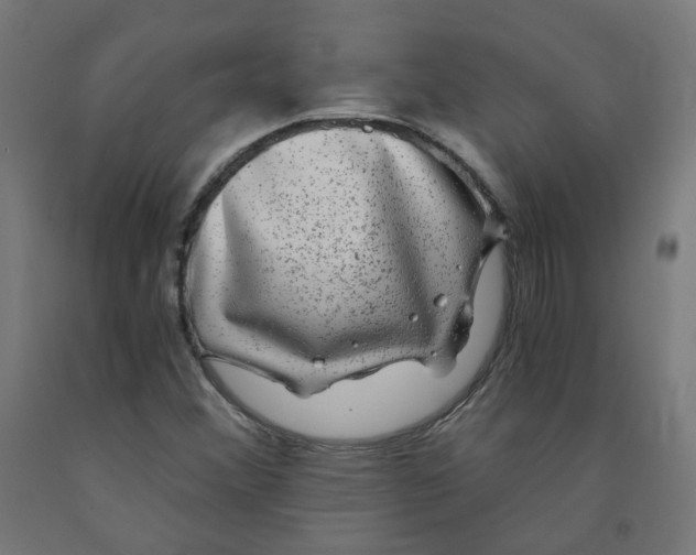 X0000091901356200710031814