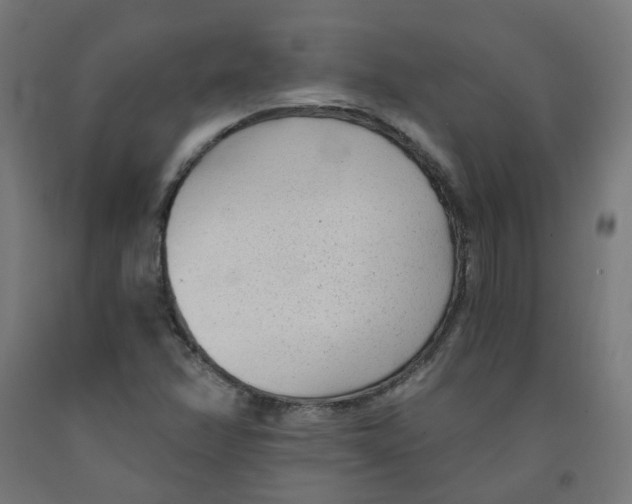 X0000091901358200710031814