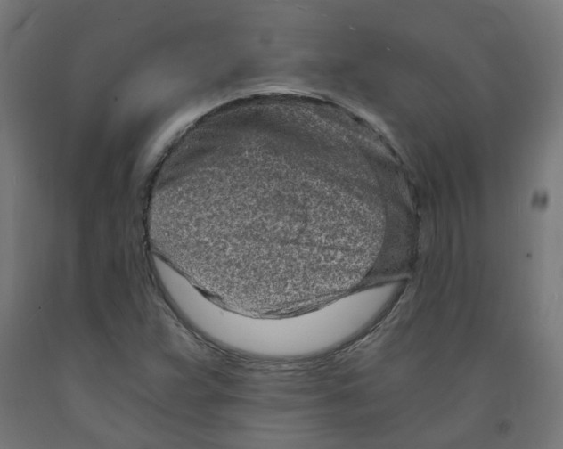 X0000091901359200710031814