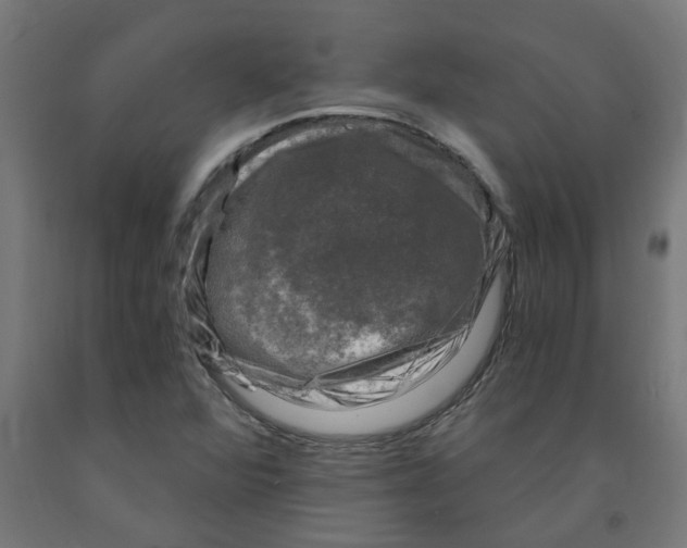 X0000091901360200710031814