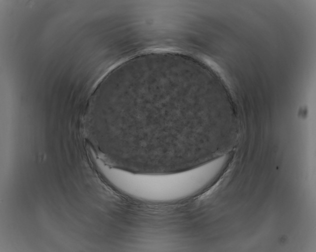 X0000091901361200710031814